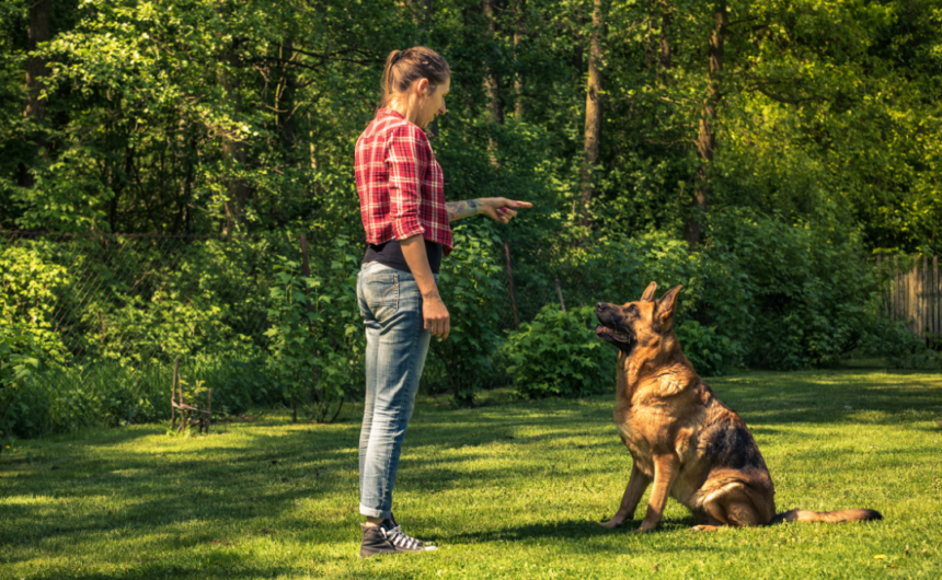 Unveiling the Secrets of Canine Behavior