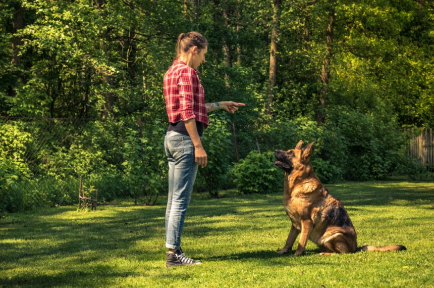 Unveiling the Secrets of Canine Behavior