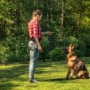 Unveiling the Secrets of Canine Behavior